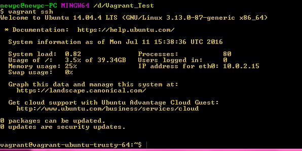 vagrant ssh